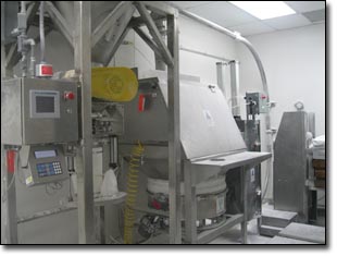 Bag Dump / Conveying System